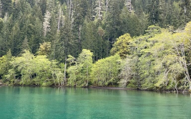 Olympic National Park: Where the Mountains Meet the Sea in Majestic Harmony